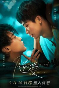 Revenged Love (2025) poster