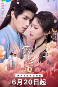 Endless Love Chinese Drama (2026) poster
