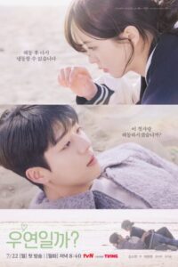 Serendipity’s Embrace (2024) poster